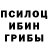 Псилоцибиновые грибы мухоморы Shane Gribben