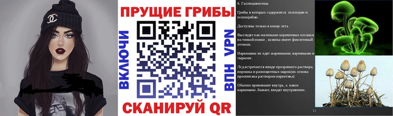 Псилоцибиновые грибы Magic Shrooms  купить   Любим 